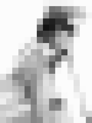 Background image - blurred