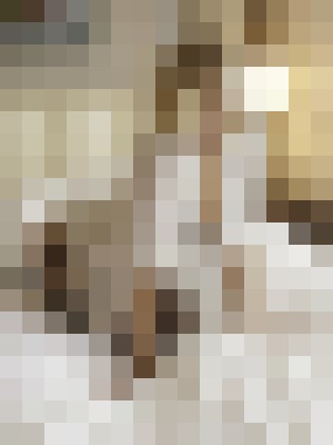 Background image - blurred