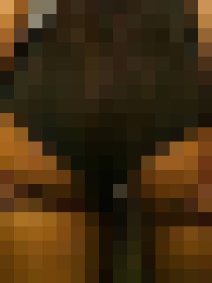 Background image - blurred