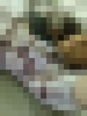 Background image - blurred