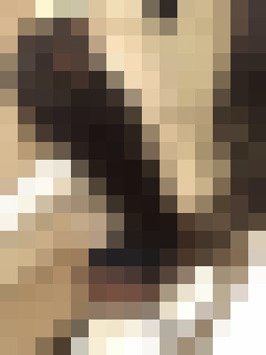 Background image - blurred