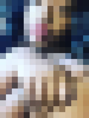 Background image - blurred