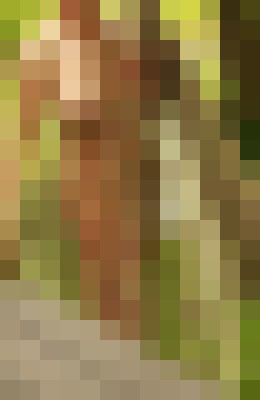 Background image - blurred