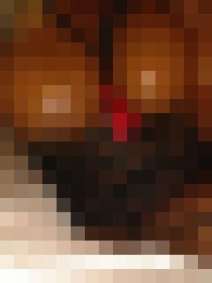 Background image - blurred