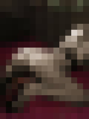 Background image - blurred