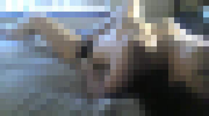 Background image - blurred