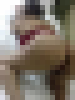 Background image - blurred