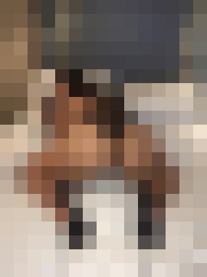 Background image - blurred