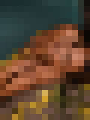 Background image - blurred