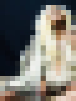 Background image - blurred