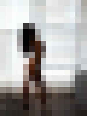 Background image - blurred