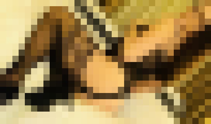 Amykitty New Jersey Escort, Pornstar, BDSM, DUO, Couple, Massage, Verified Adult Service Provider, Companion in United States | 2