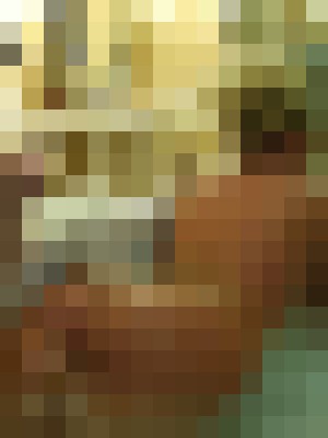 Background image - blurred