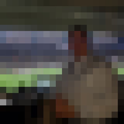 Escort-ads.com | Blurred background picture for member Galaphile
