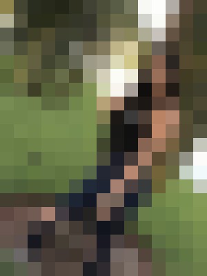 Background image - blurred
