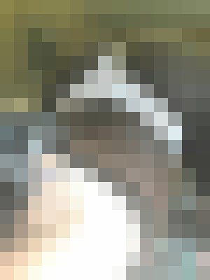Background image - blurred