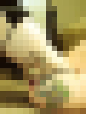 Background image - blurred