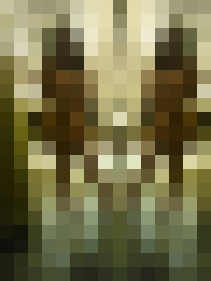Background image - blurred