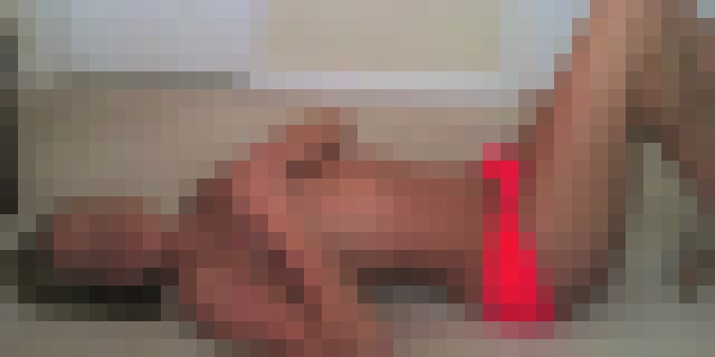 MsBrieJ Pittsburgh, Pennsylvania Escort, , Verified Adult Service Provider, Companion in United States | 2