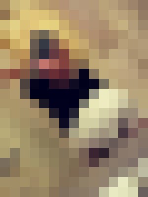 Background image - blurred