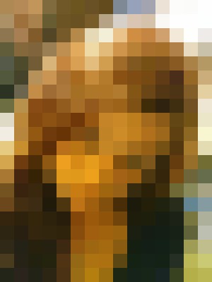 Background image - blurred