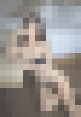 Escort-ads.com | Blurred background picture for agency Vegas Asian Club