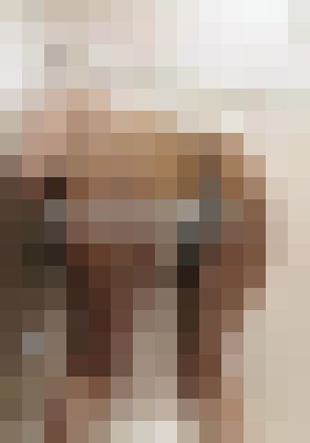 YaYaYummi Tampa, Florida Escort, , Verified Adult Service Provider, Companion in United States | 2
