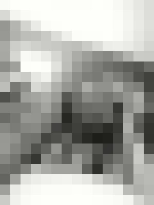 Background image - blurred