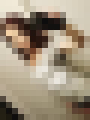 Background image - blurred
