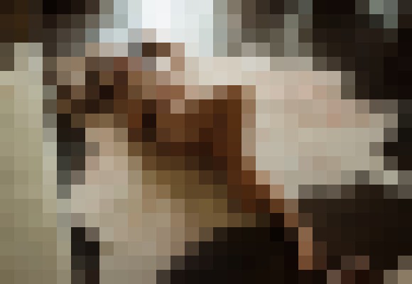 Background image - blurred