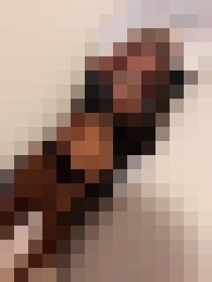 Background image - blurred