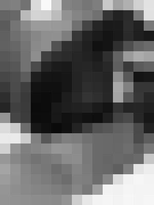Background image - blurred