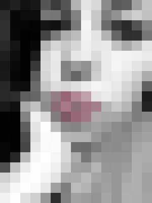 Background image - blurred