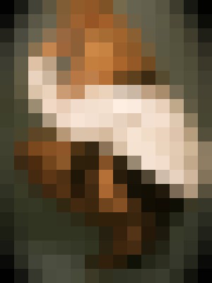 Background image - blurred