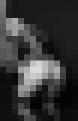 Background image - blurred
