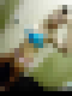 Background image - blurred