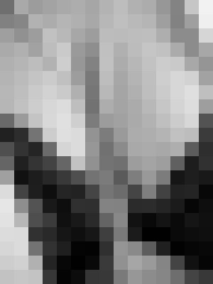 Background image - blurred