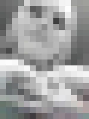 Background image - blurred