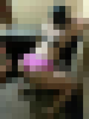 Background image - blurred