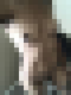 Background image - blurred