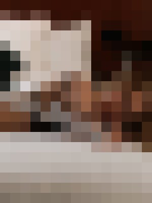Background image - blurred