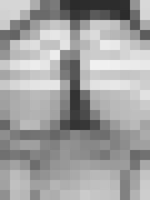Background image - blurred