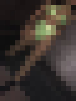 Background image - blurred