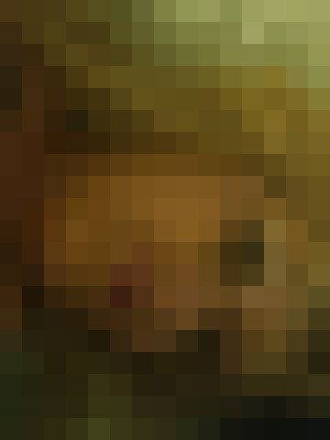 Background image - blurred