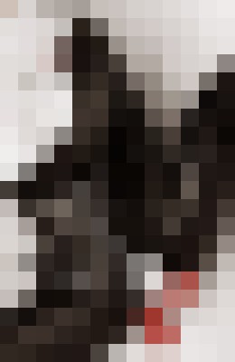 Domina M Paris Escort, BDSM, Verified Adult Service Provider, Companion in France | 8