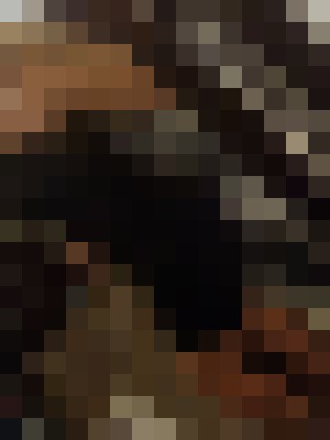Background image - blurred