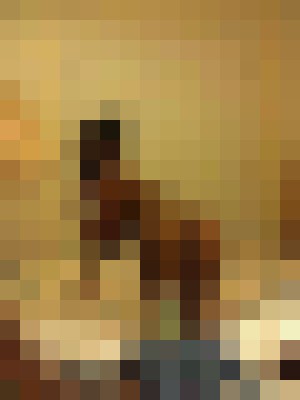 Background image - blurred