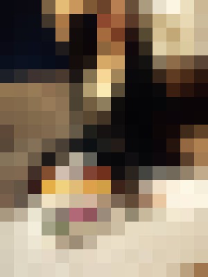 Background image - blurred