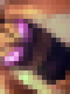 Background image - blurred