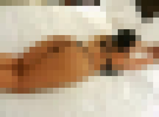 Shayla Dallas, Texas Escort, , Verified Adult Service Provider, Companion in United States | 2
